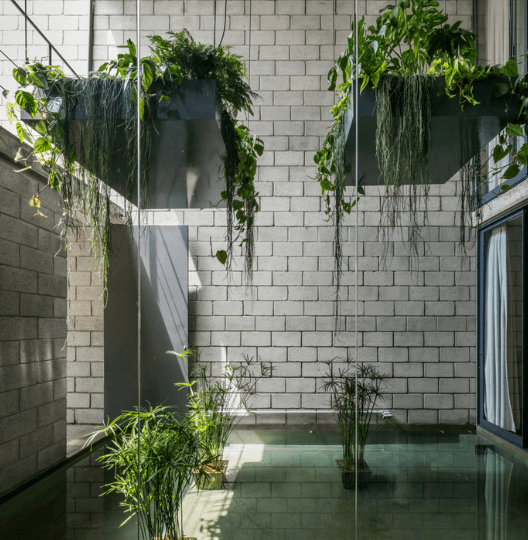 Urban Jungle Interior Design